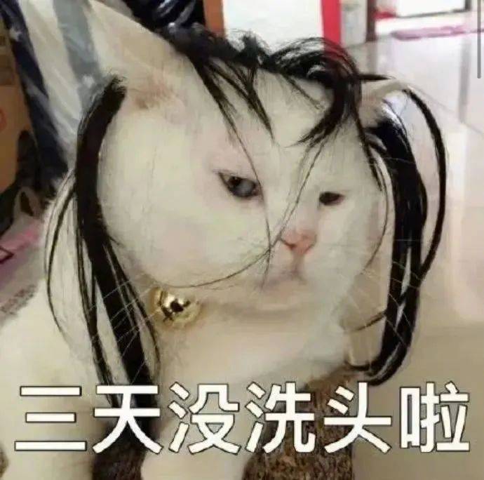 表情包 | 三天没洗头啦 拿图点赞,吱声
