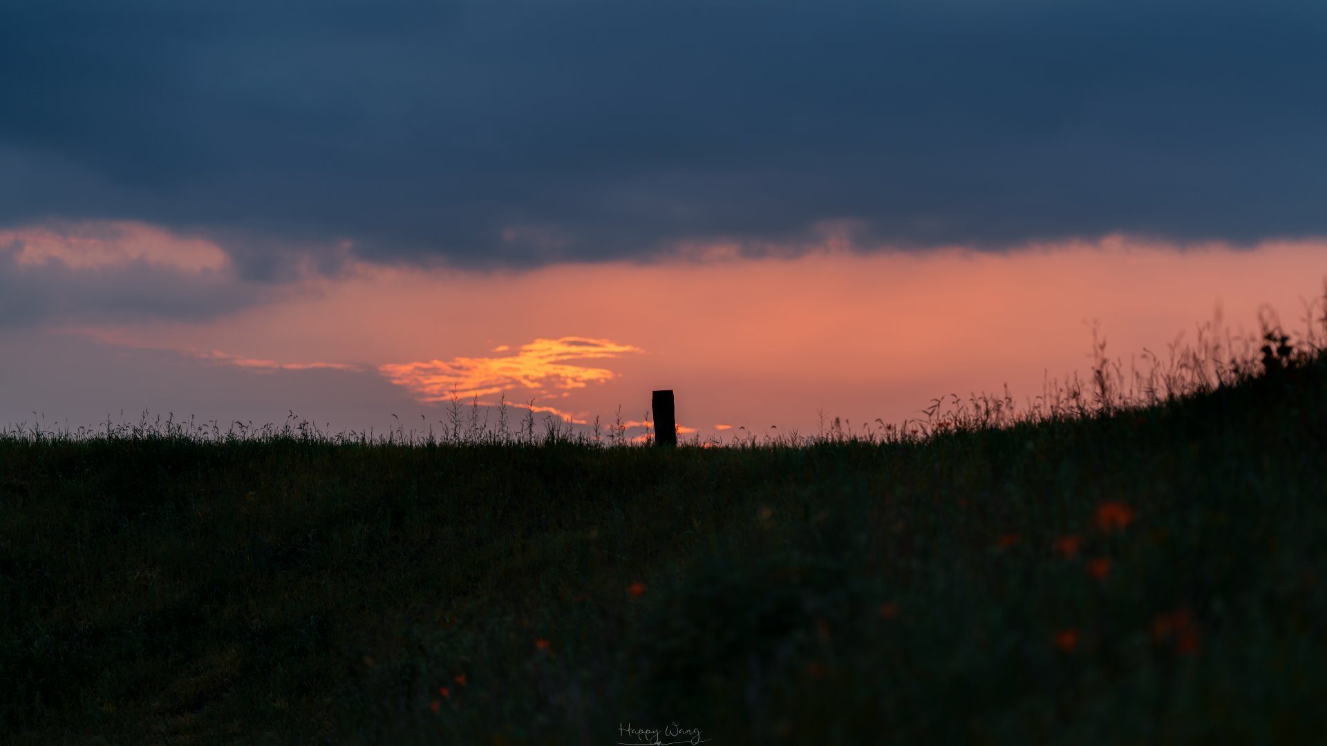 在晚夏追逐一场日落