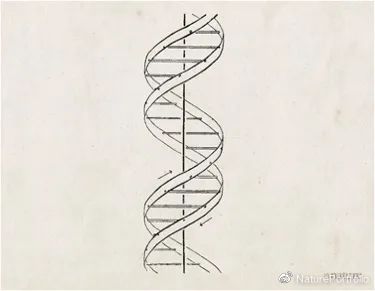 《自然》中的科学史:DNA双螺旋结构发现70周年__财经头条