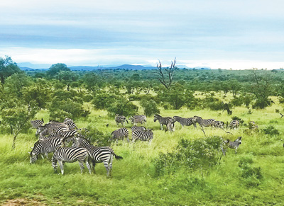 保护生态环境 打造特色旅游(国际视点)
