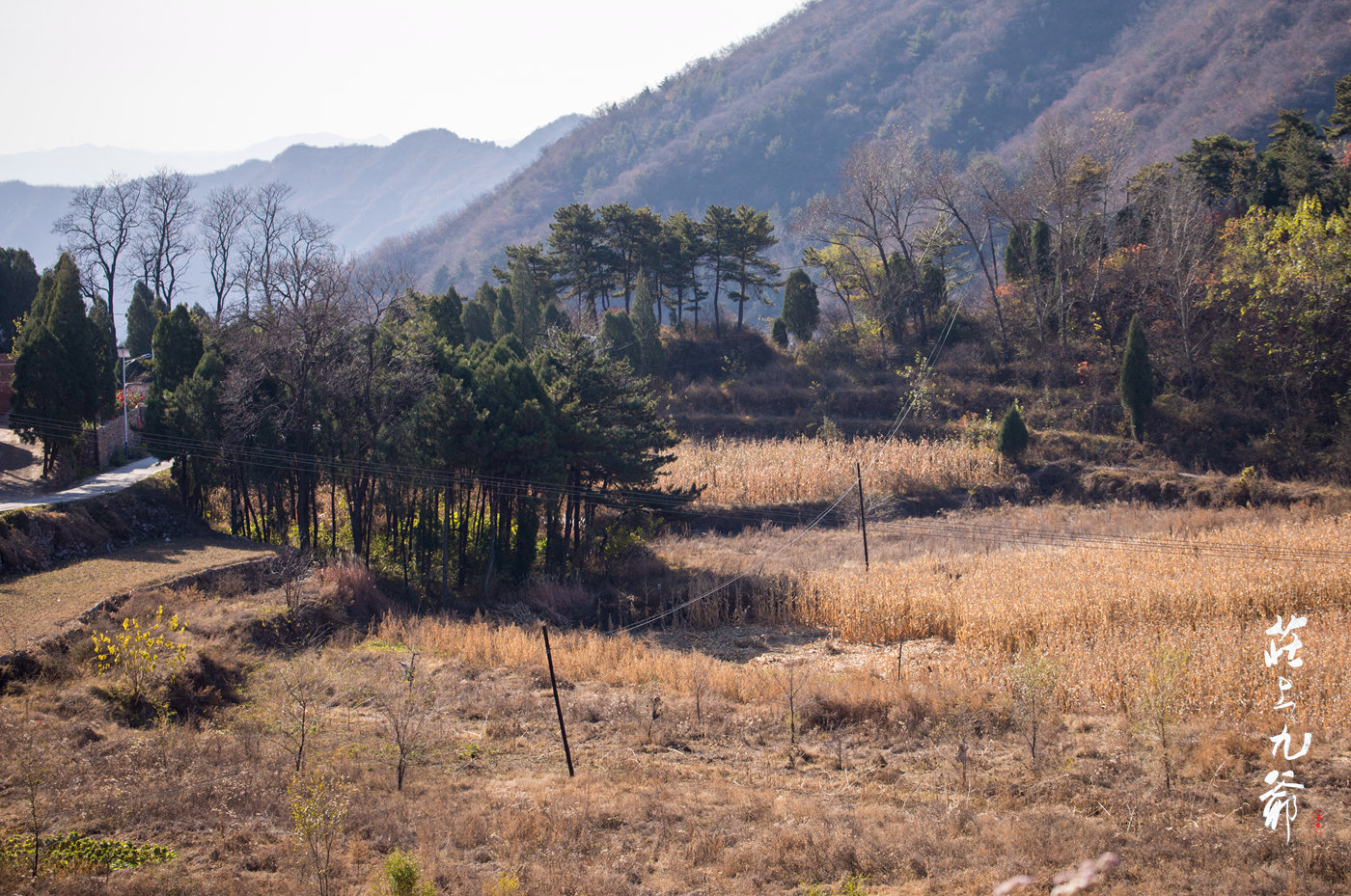 太行之巅有个小村松树岭道路崎岖陡峭令人望而却步