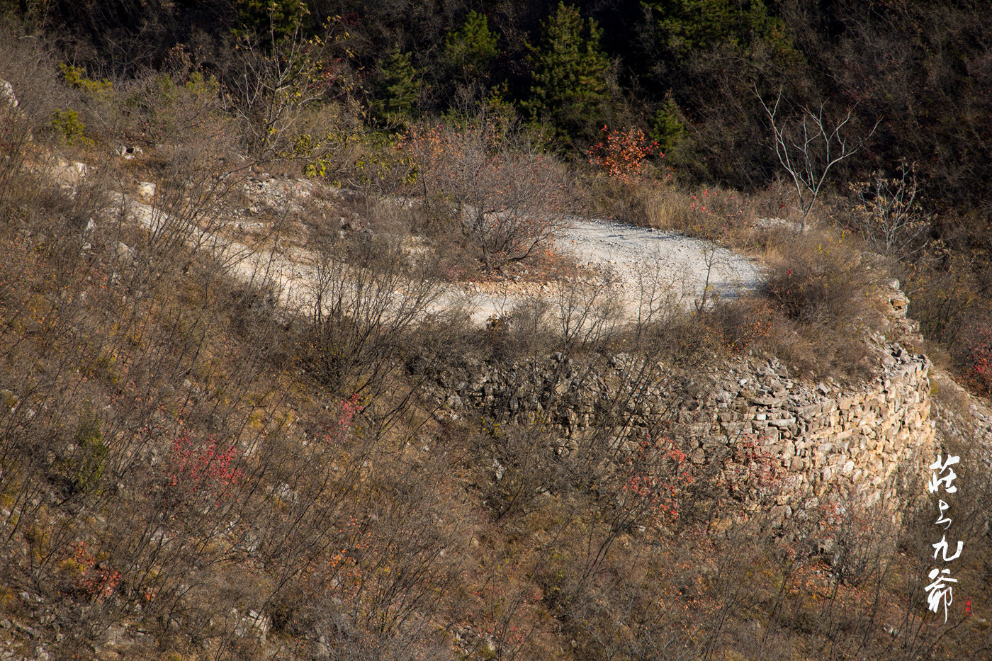 太行之巅有个小村松树岭道路崎岖陡峭令人望而却步