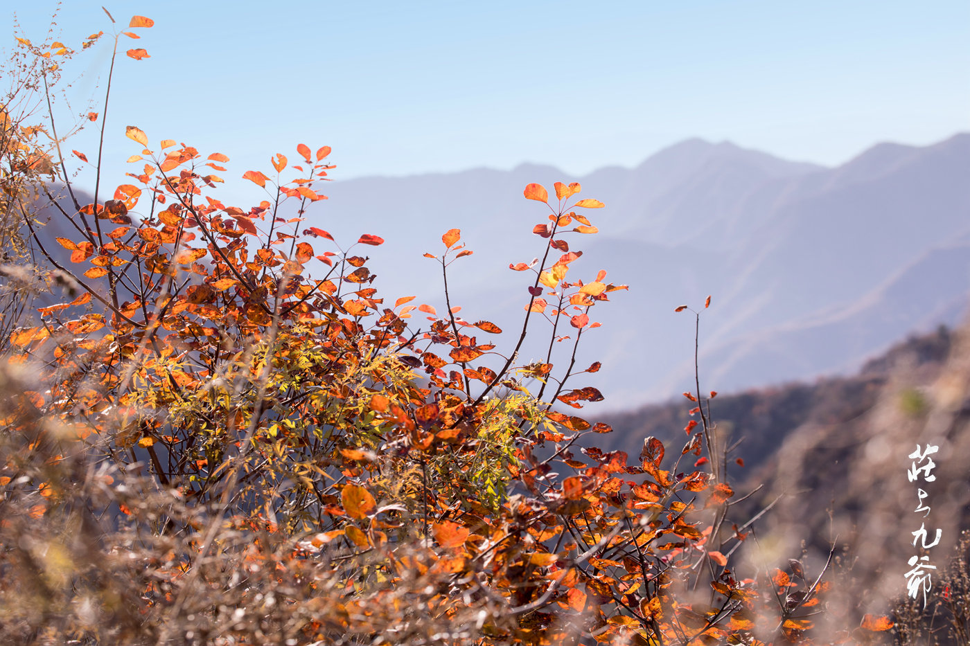太行之巅有个小村松树岭道路崎岖陡峭令人望而却步