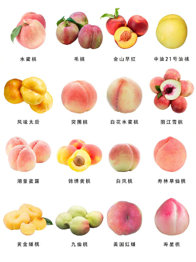 图片搜索_新浪搜索_新浪网