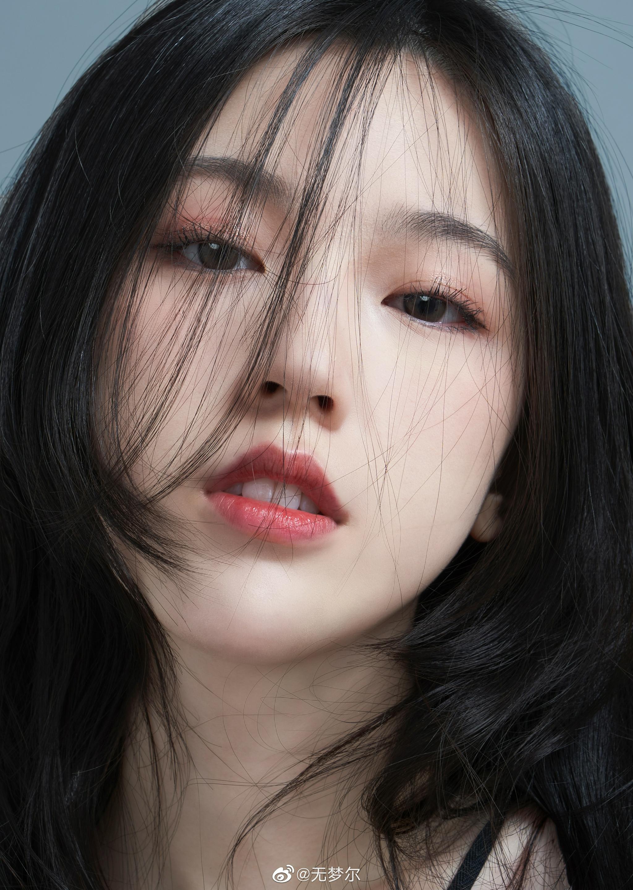 猫 摄影@无梦尔 出境