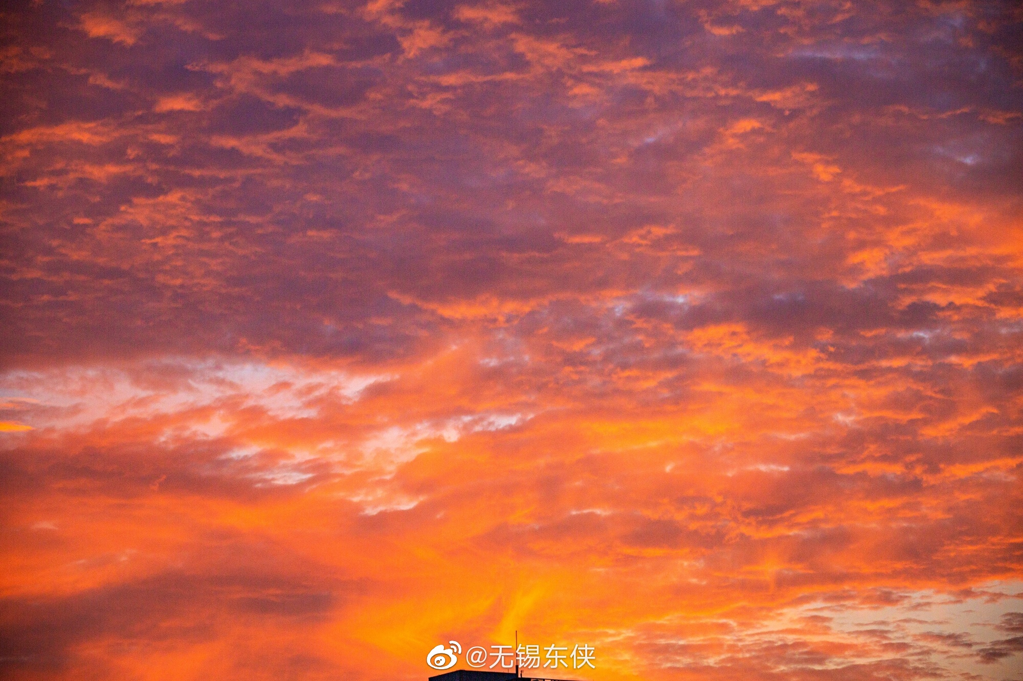 日出东方,其道大光,朝霞满天!今天的朝霞和你一起分享__财经头条