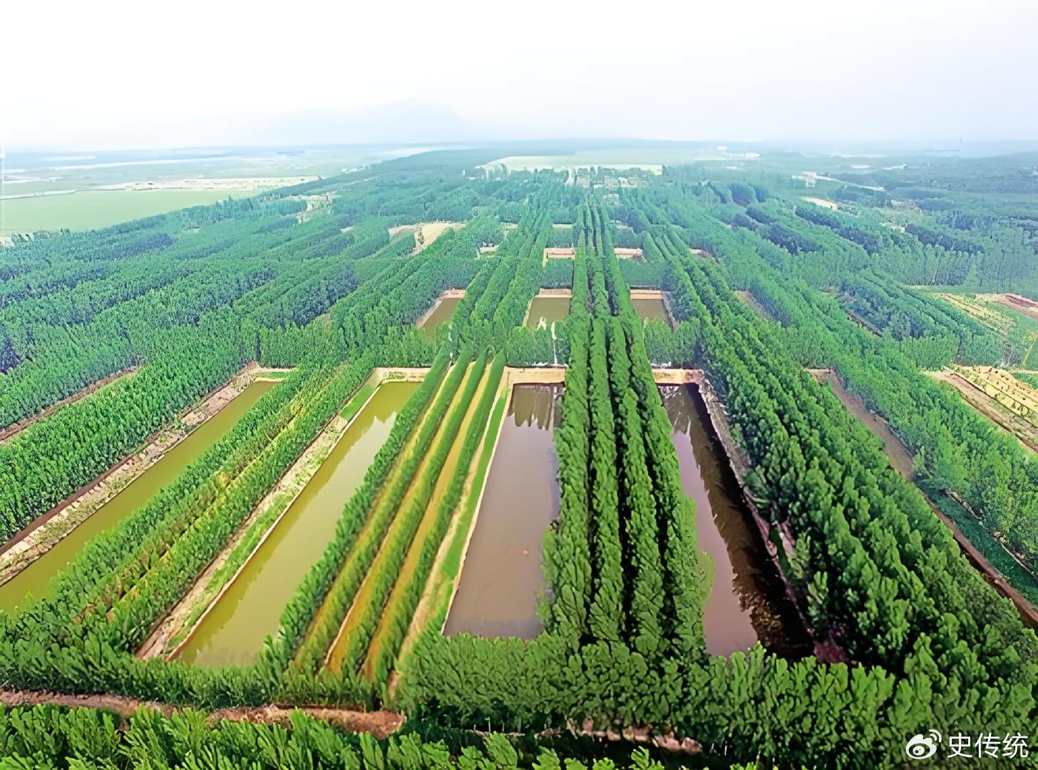 中国林业建设行业发展痛点分析及解决方案探讨|林业|痛点|林业产业