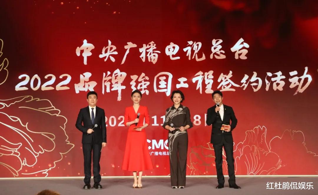 能为重要活动站台的主持人才是央视的门面，除了龙洋董卿还有他们休闲区蓝鸢梦想 - Www.slyday.coM