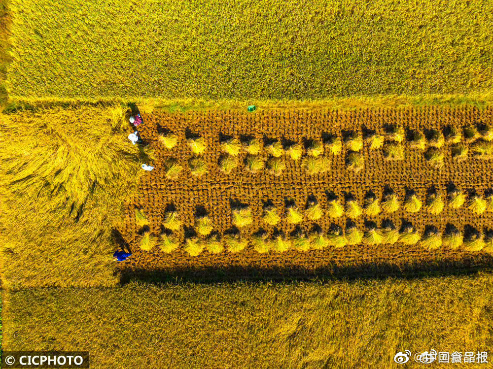 金秋美丽丰收图_高清图集_新浪网