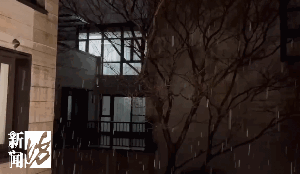 这回争气了!上海昨晚的雪绝对肉眼可见…部分地区还不小!这一幕幕太浪漫了休闲区蓝鸢梦想 - Www.slyday.coM 这回争气了!上海昨晚的雪绝对肉眼可见…部分地区还不小!这一幕幕太浪漫了休闲区蓝鸢梦想 - Www.slyday.coM