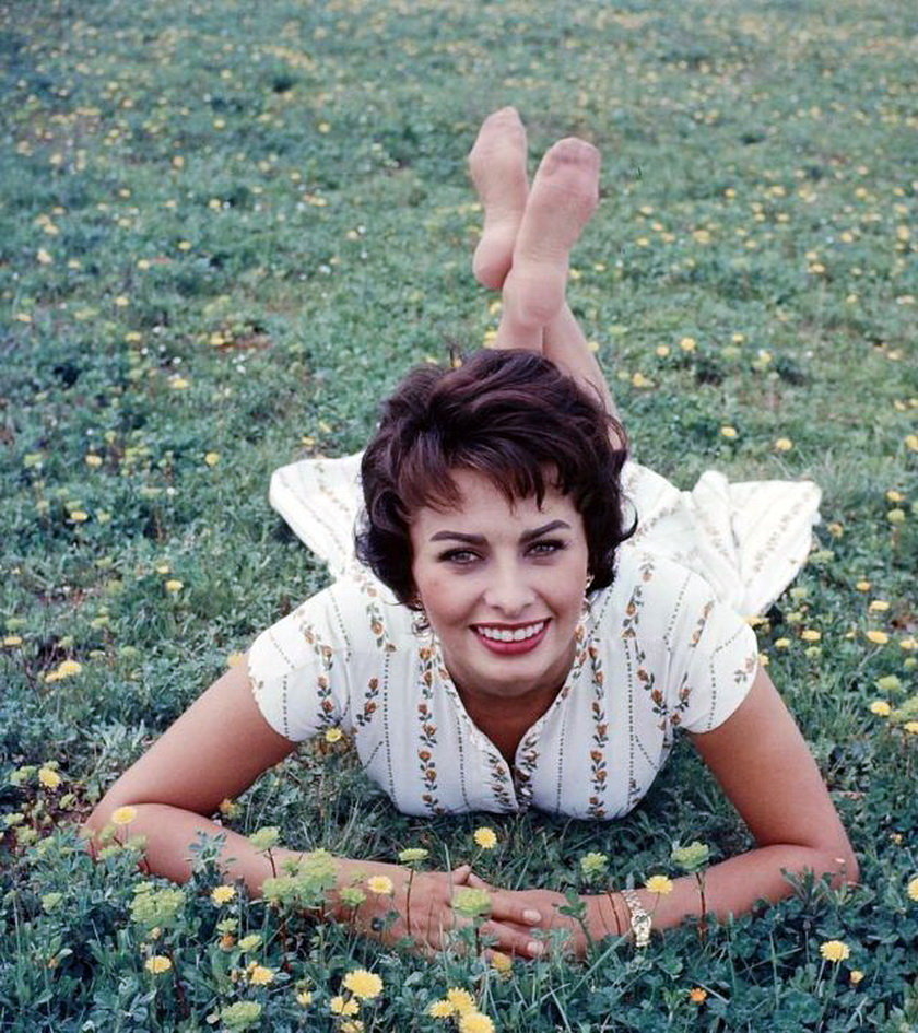 索菲亚·罗兰__财经头条