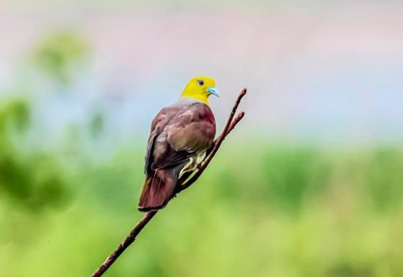 6.18早点晚报｜兰州爆炸事故中失联6人全部遇难休闲区蓝鸢梦想 - Www.slyday.coM