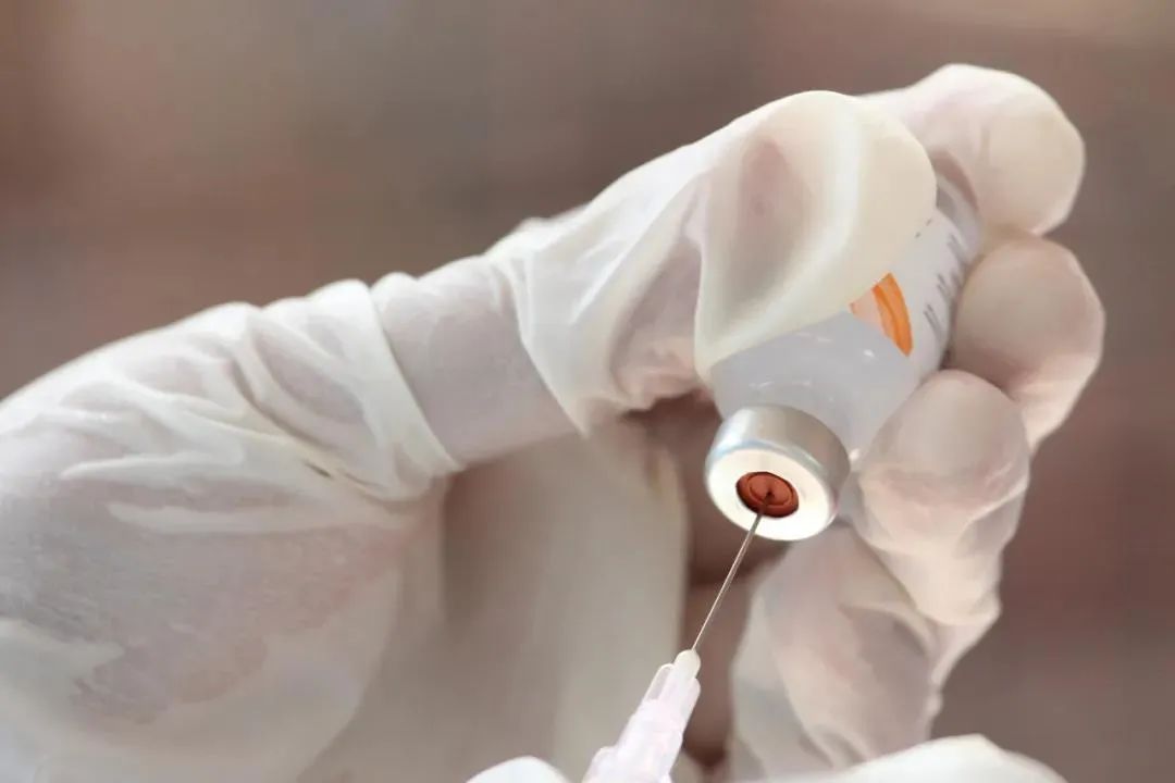 大连本轮疫情首例来源冷库，已是因冷链发生的第三次疫情【看世界·新闻早知道】休闲区蓝鸢梦想 - Www.slyday.coM