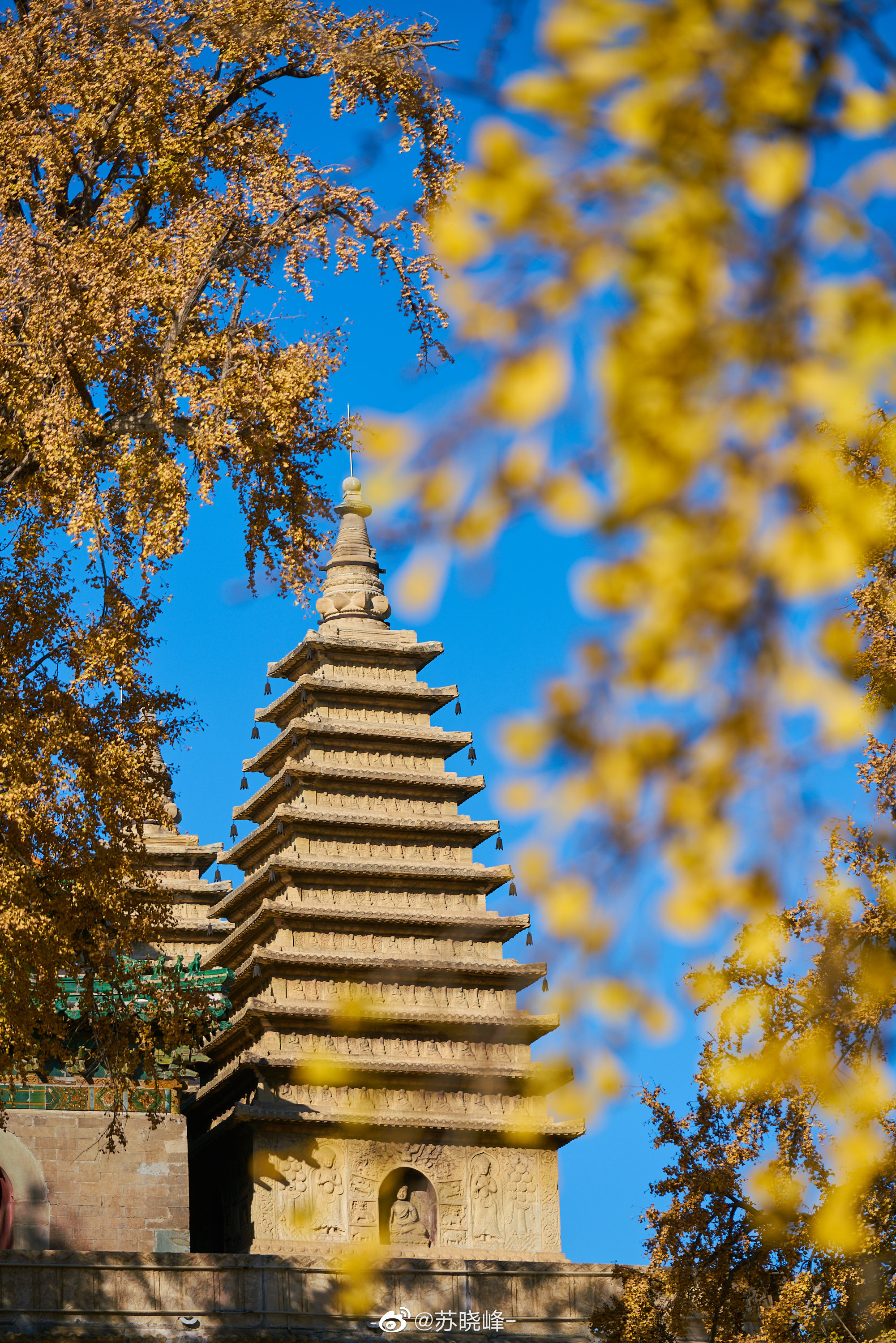 五塔寺佛像秋色……__财经头条