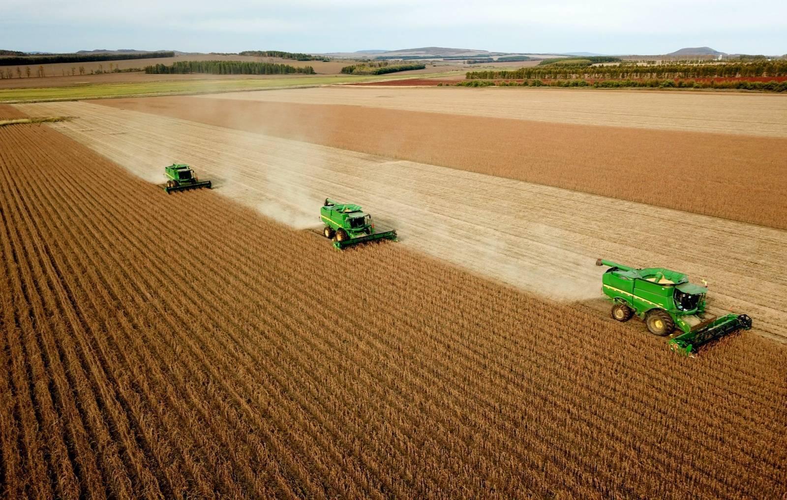 【丰收献给党】龙江"丰"满秋色待"检阅"|北大荒|大豆|龙江_新浪新闻