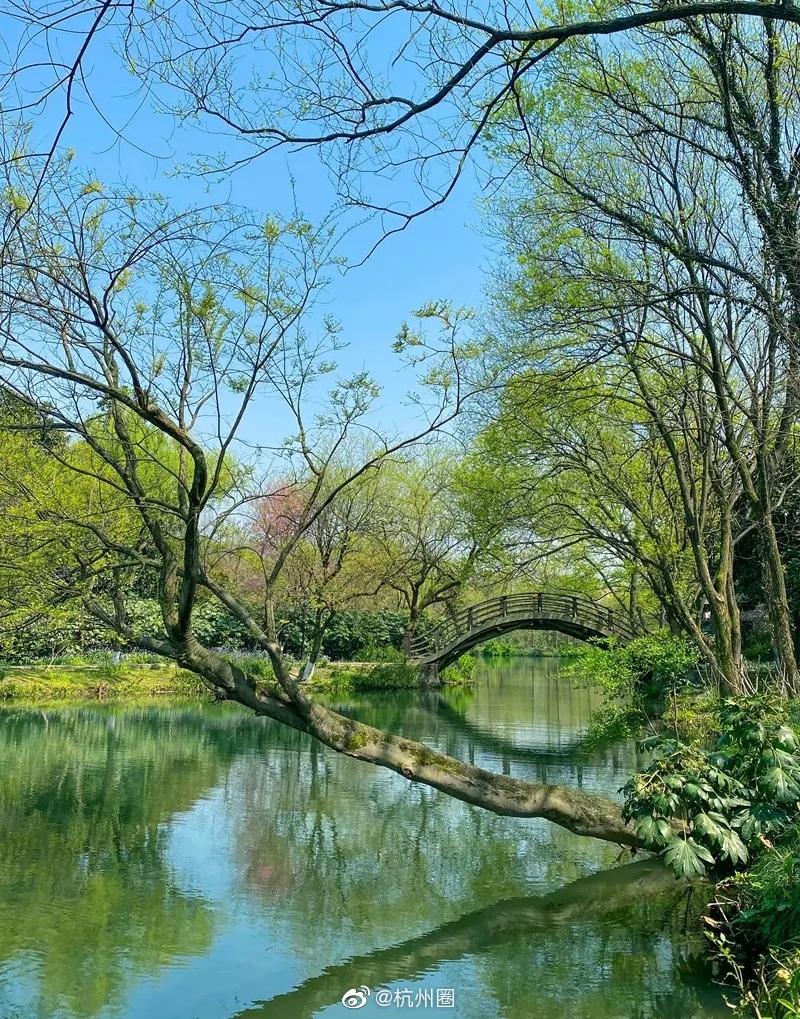 杭州·西湖景区·茅家埠,春天的茅家埠是一年四季中最美季节