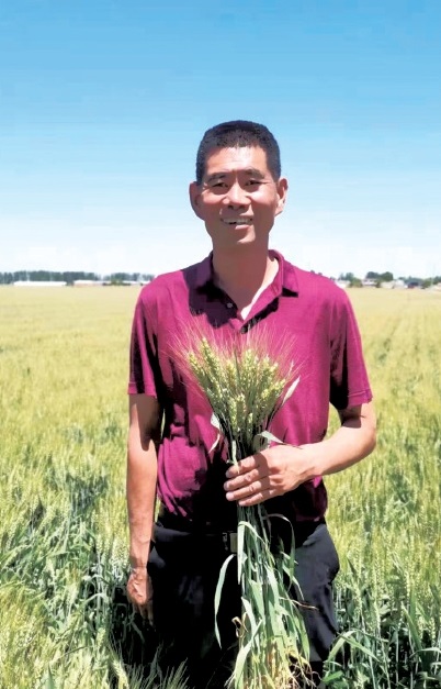 市藁城区兴安镇西里村时间2022年6月1日采访农民日报·中国农网记者