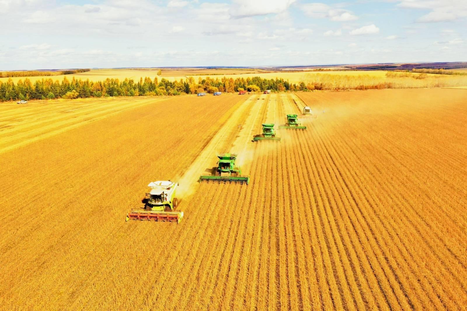 2020年,黑龙江省粮食产量实现1508.