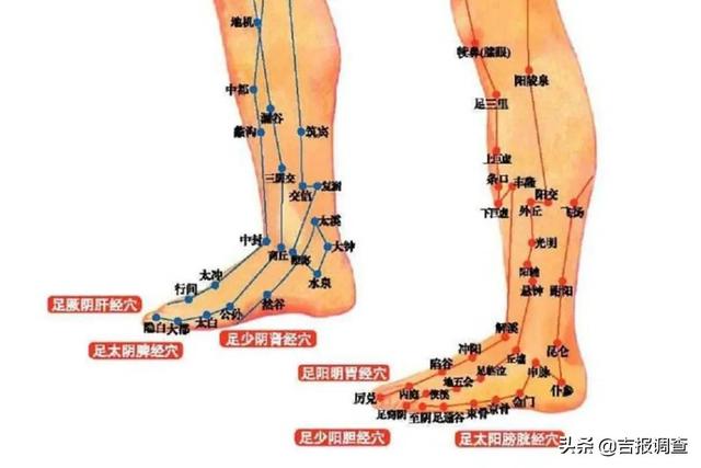 腿上有足的三阴经:肝经,脾经,肾经;足的三阳经:胃经,胆经,膀胱经.