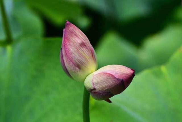 雷阵雨时间可能更早，降雨强度更大，影响范围更广，今起高温退场，强对流天气有点凶休闲区蓝鸢梦想 - Www.slyday.coM