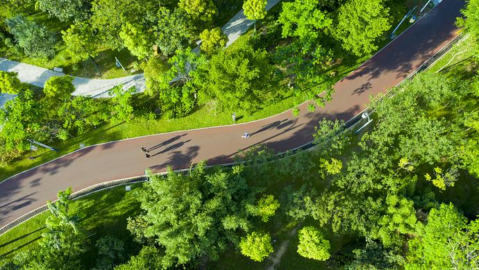 26万人为上海环城生态公园带出主意七成受访者期盼公园里开露天音乐会