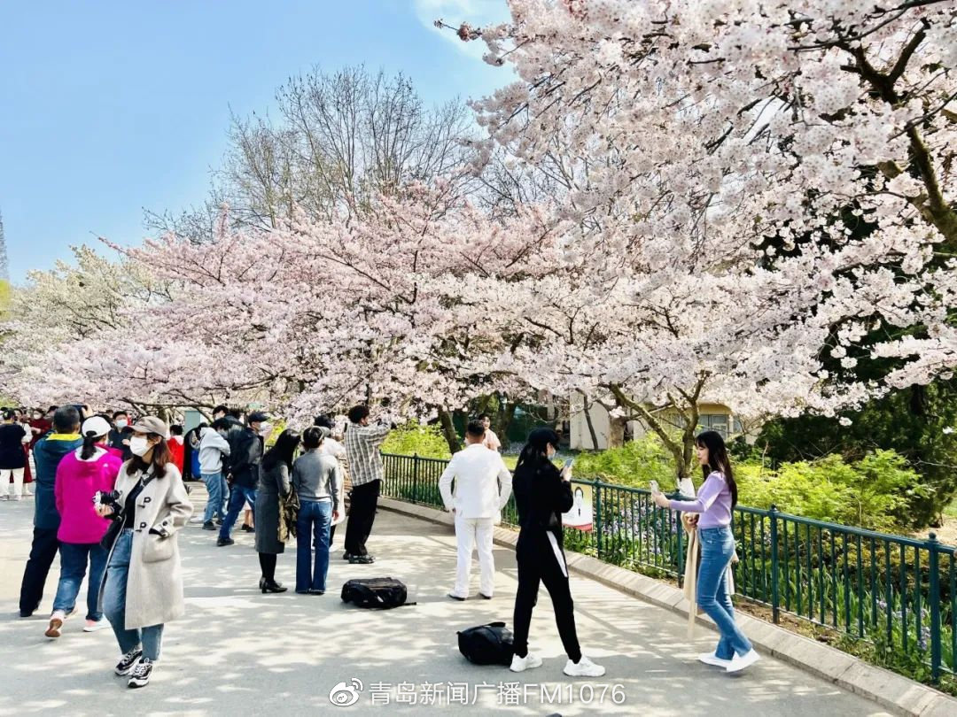 早安青岛 新闻来了【2022.4.10】休闲区蓝鸢梦想 - Www.slyday.coM 早安青岛 新闻来了【2022.4.10】休闲区蓝鸢梦想 - Www.slyday.coM