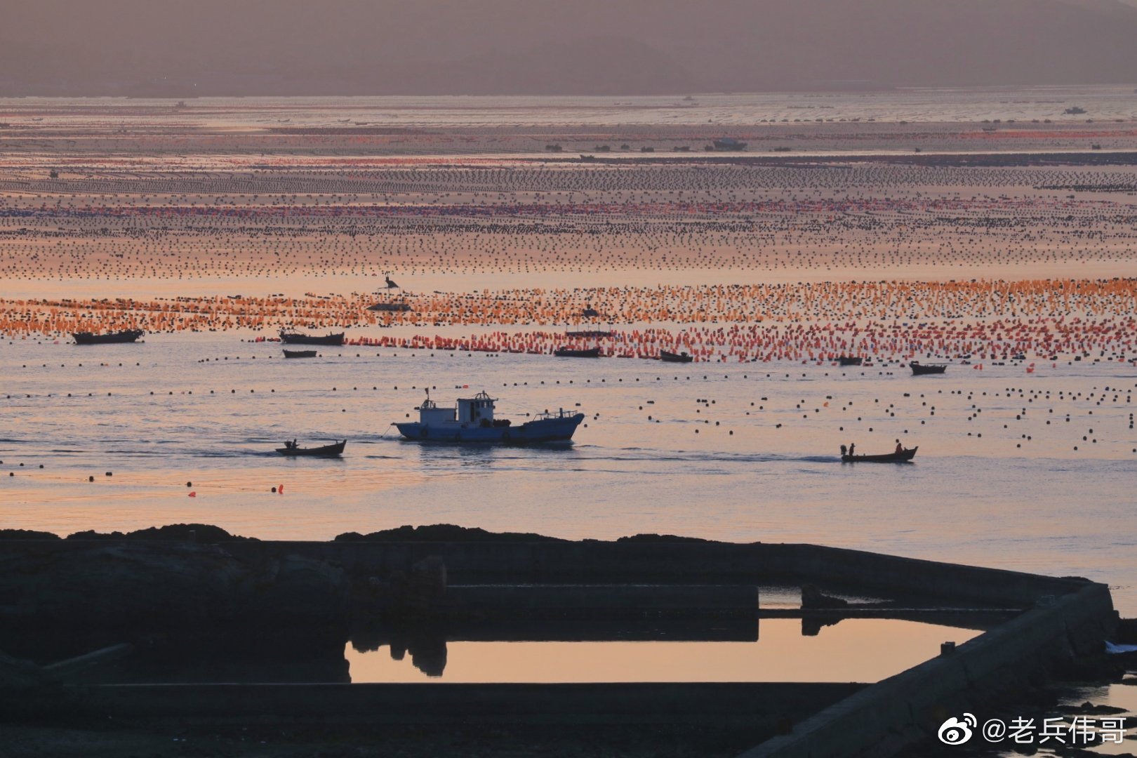 这是清晨的大连旅顺口的海洋牧场……_高清图集_新浪网