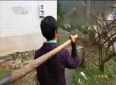 央视破解无癌村秘方 原来只是一味常见药 央视破解无癌村秘方 原来只是一味常见药