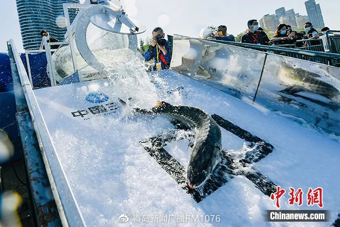 早安青岛 新闻来了【2022.4.10】休闲区蓝鸢梦想 - Www.slyday.coM 早安青岛 新闻来了【2022.4.10】休闲区蓝鸢梦想 - Www.slyday.coM