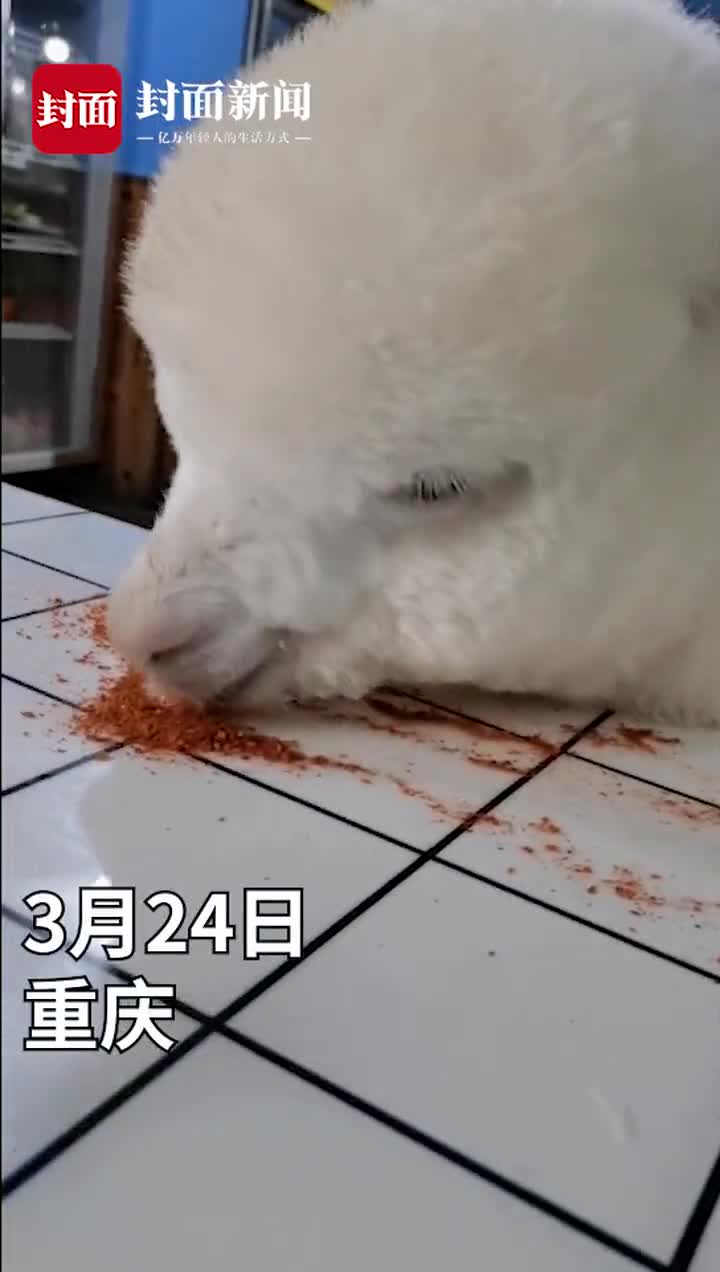 雨雨雨+阵风9级！河北迎大范围降水休闲区蓝鸢梦想 - Www.slyday.coM