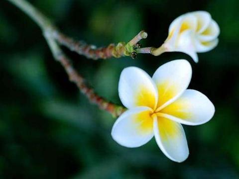 打铁花艺术价值 微信电脑艺术字输入方法