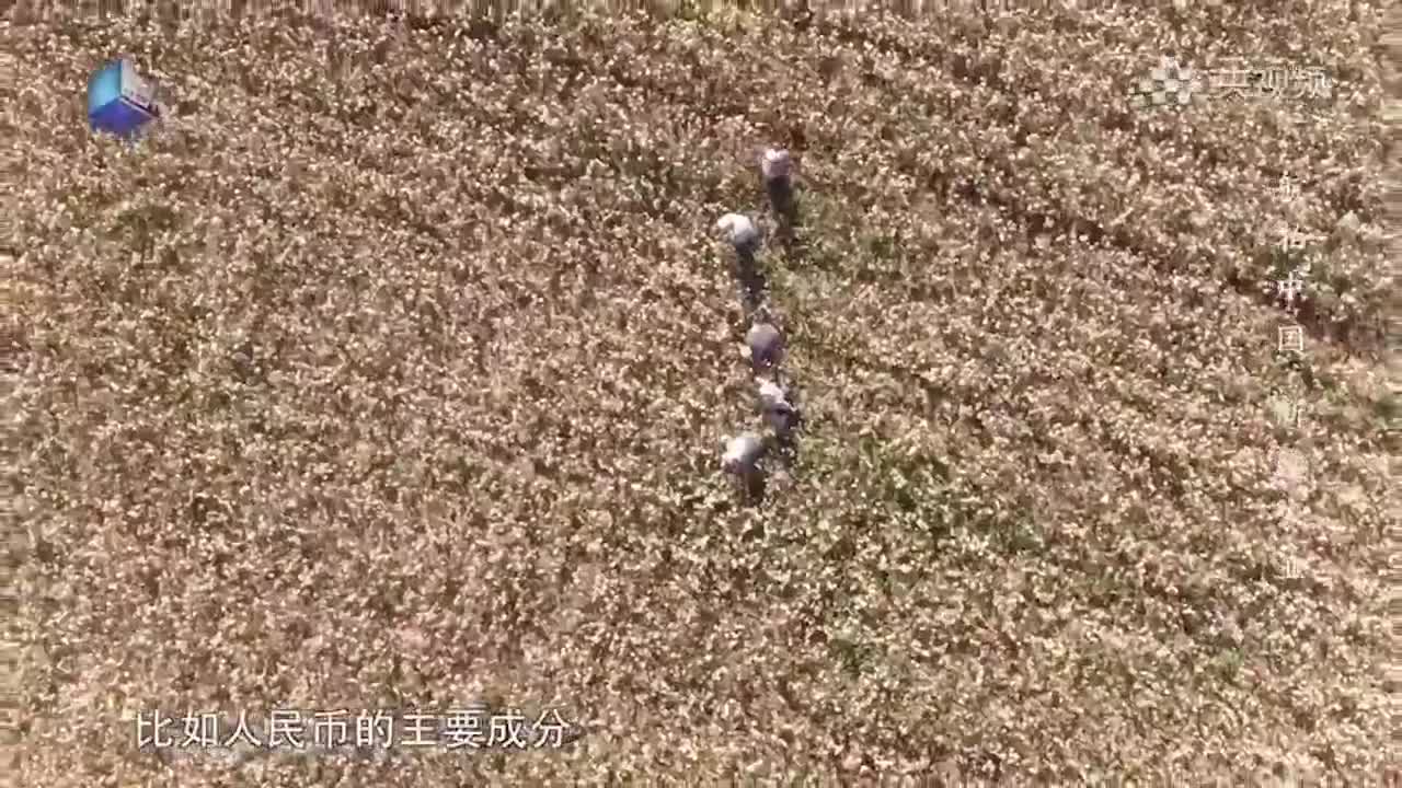 雨雨雨+阵风9级！河北迎大范围降水休闲区蓝鸢梦想 - Www.slyday.coM