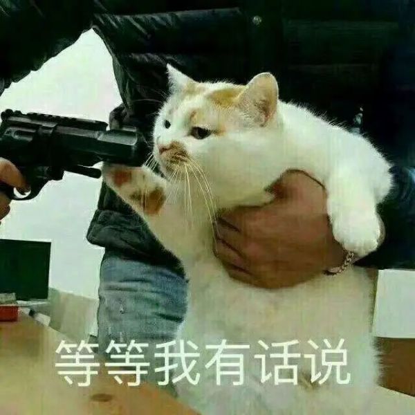 这回争气了!上海昨晚的雪绝对肉眼可见…部分地区还不小!这一幕幕太浪漫了休闲区蓝鸢梦想 - Www.slyday.coM 这回争气了!上海昨晚的雪绝对肉眼可见…部分地区还不小!这一幕幕太浪漫了休闲区蓝鸢梦想 - Www.slyday.coM