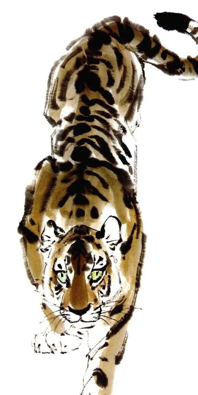 书画联盟丨写意虎画法示范