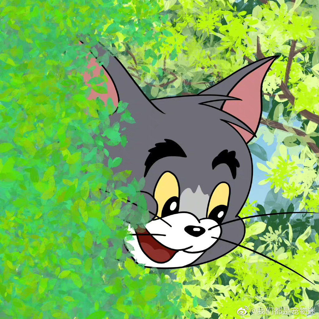 猫和老鼠头像__财经头条