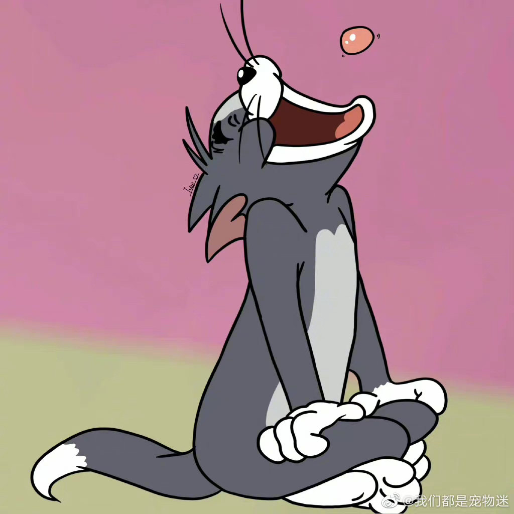 猫和老鼠头像__财经头条