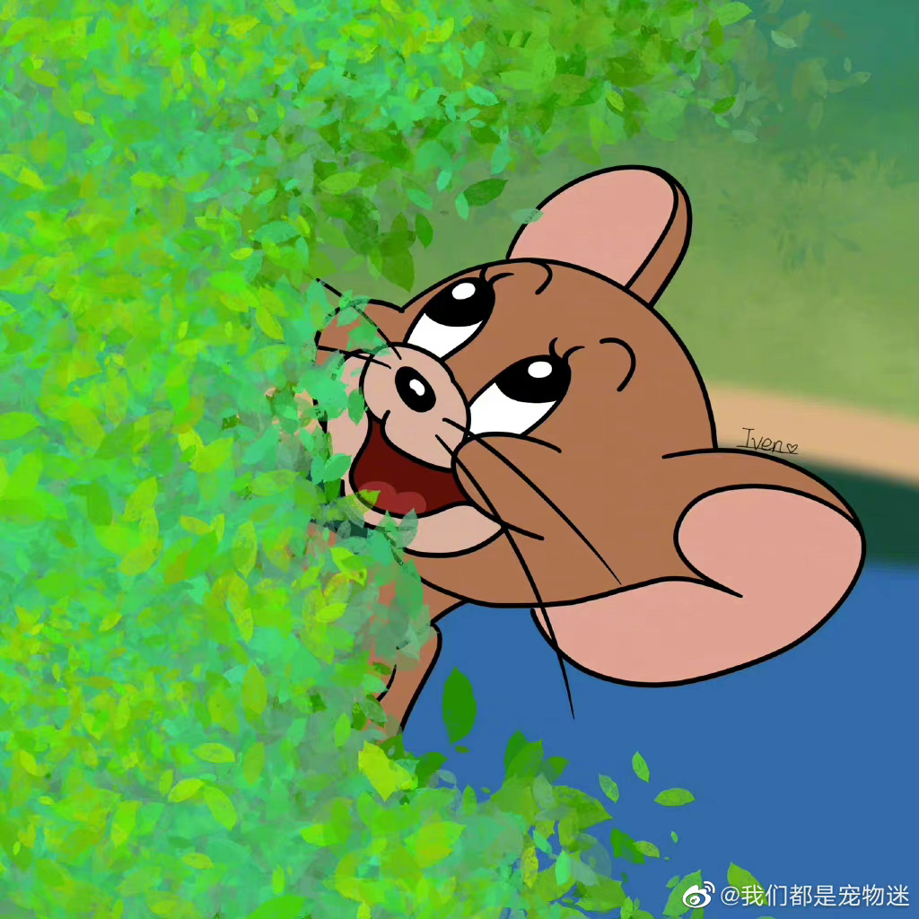 猫和老鼠头像__财经头条