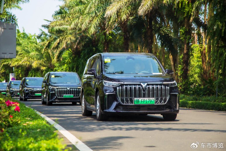 彰显高端出行魅力岚图汽车助力2024博鳌保障用车