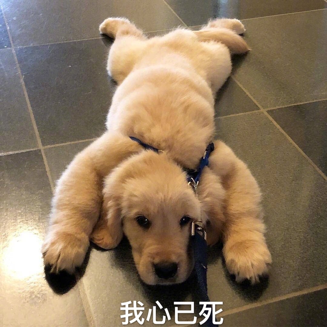颓废表情包