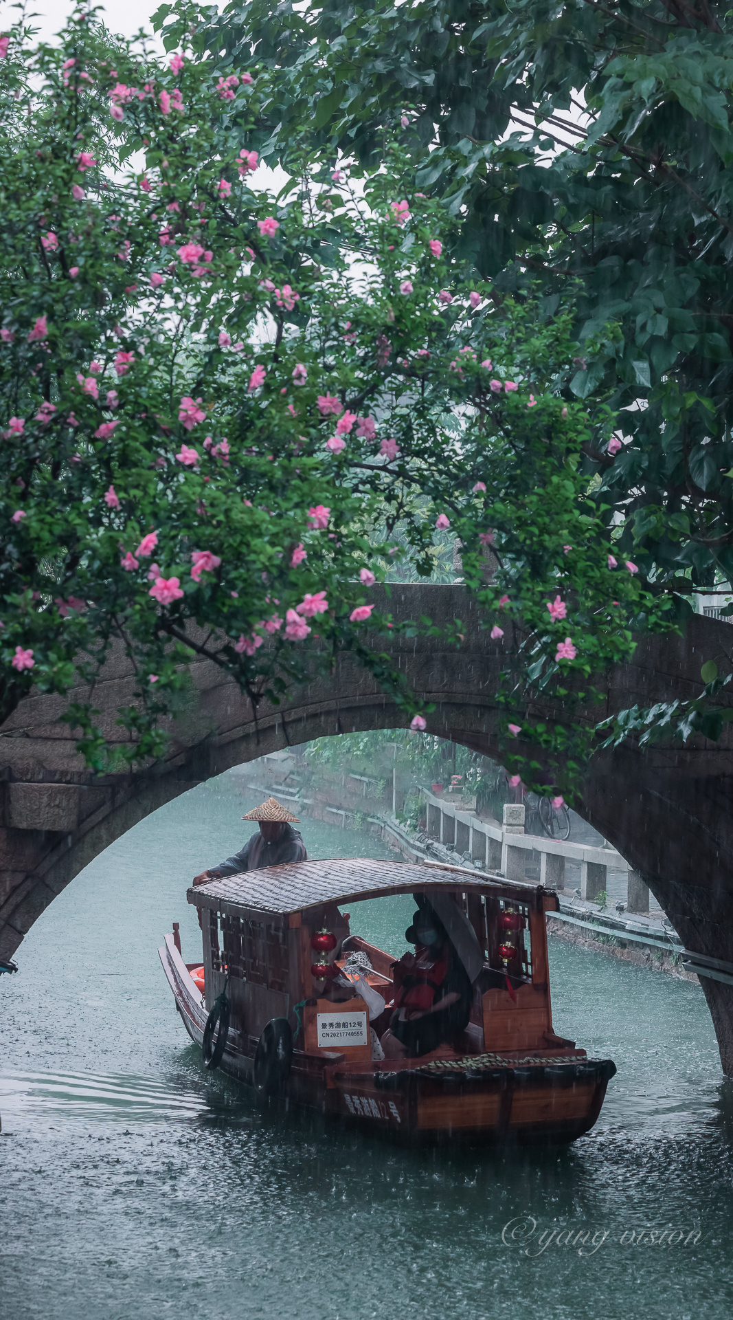 七月,烟雨江南_高清图集_新浪网