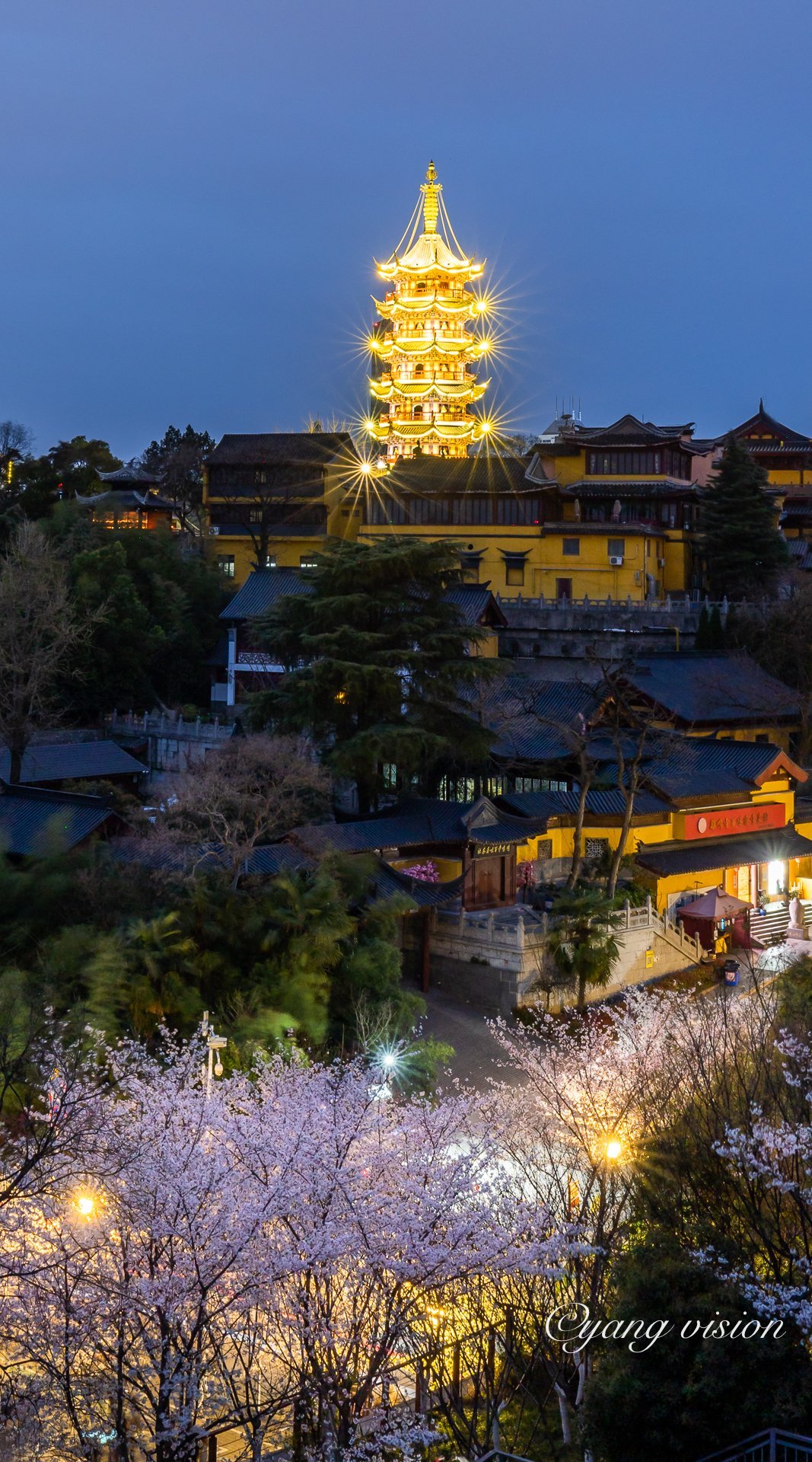鸡鸣寺,夜色樱花美_高清图集_新浪网