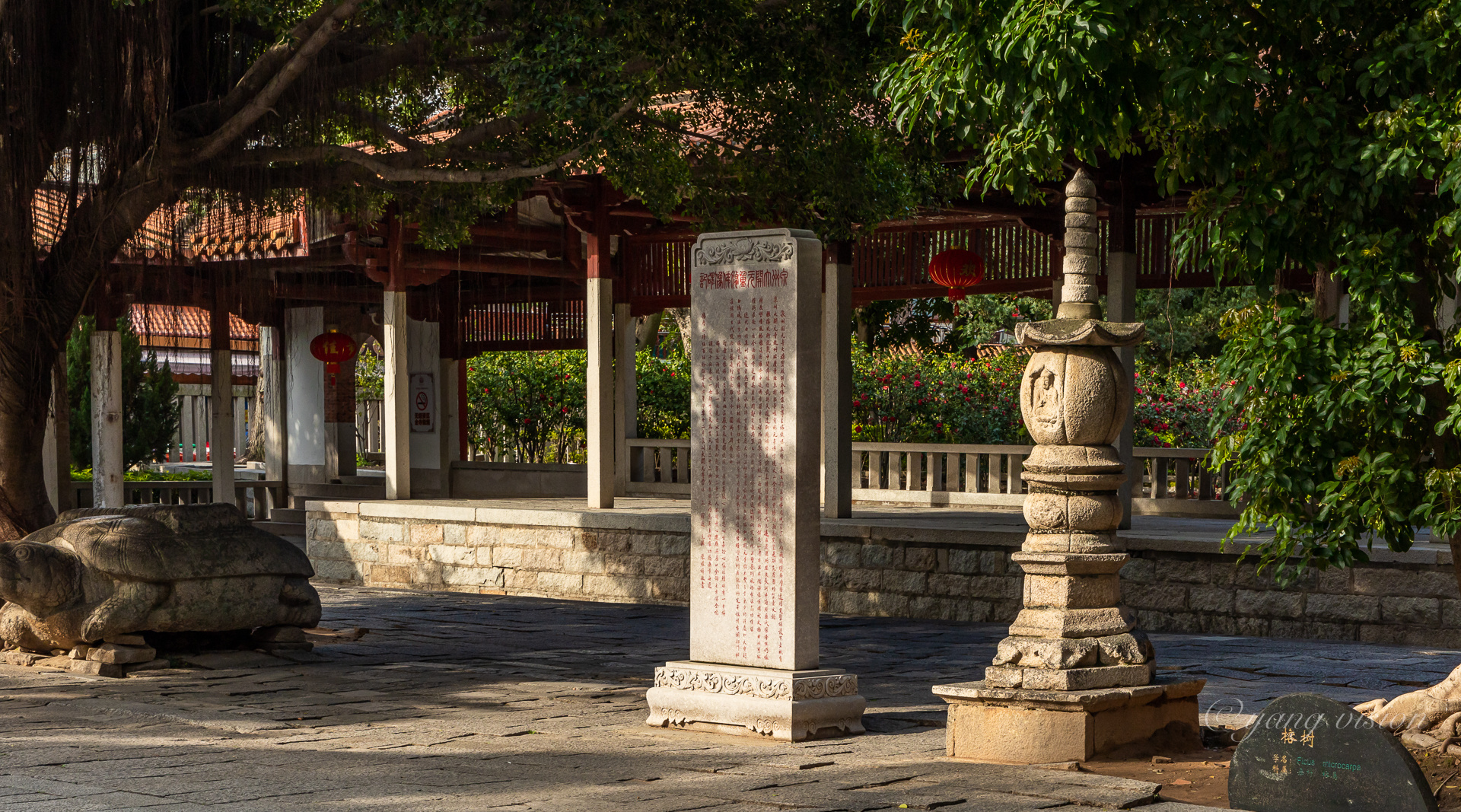 闽南第一古刹，泉州开元寺
