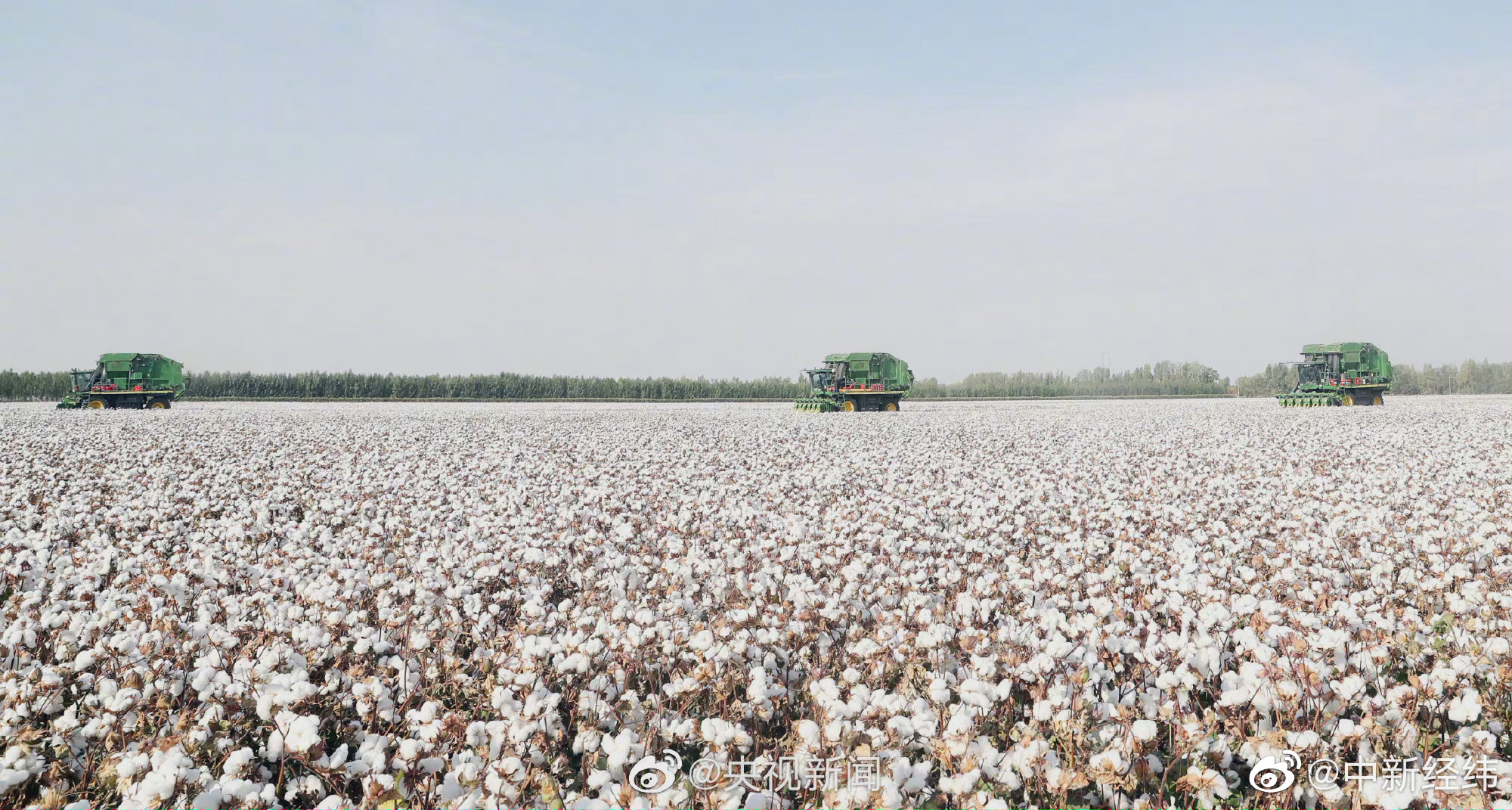 作为世界最大棉花消费国,第二大棉花生产国,我国2020/2021年度棉花