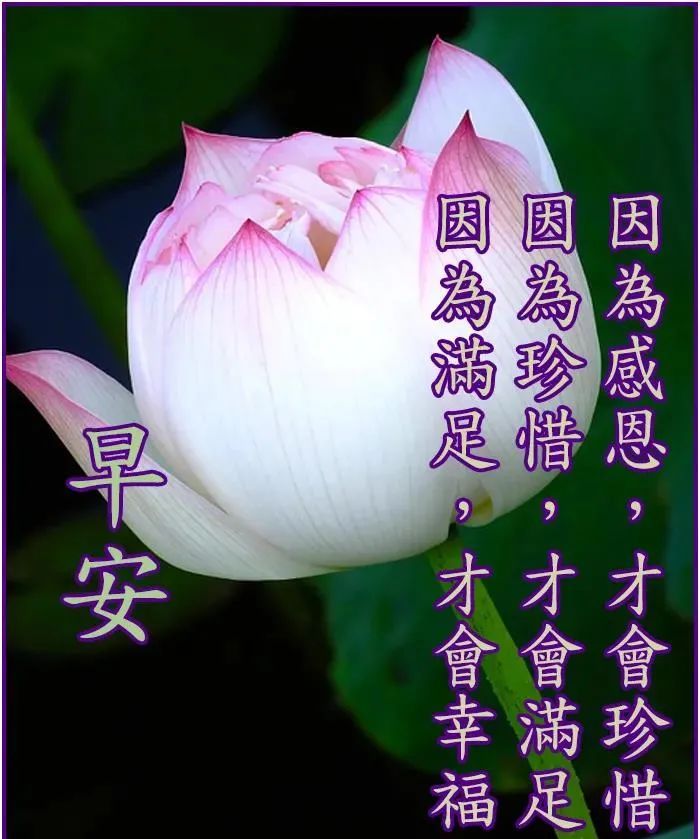 最新创意好看的早上好图片带祝福语早安漂亮图片问候祝福语