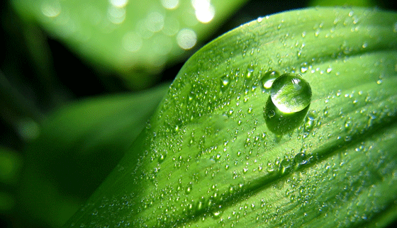 560_322gif 动态图 动图