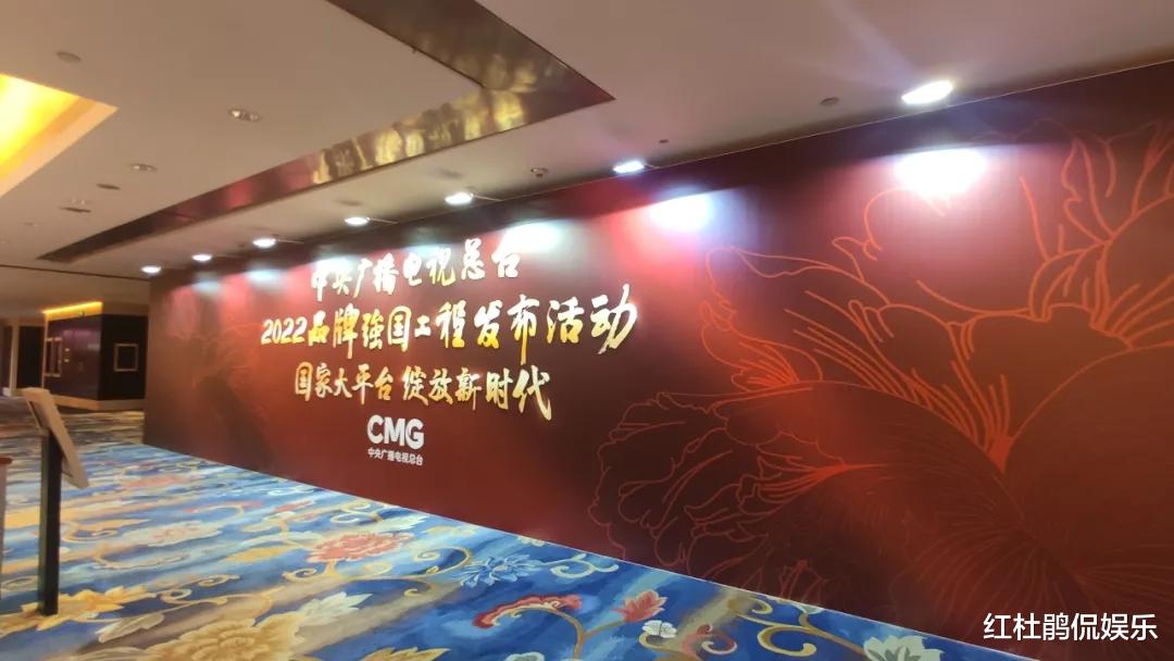 能为重要活动站台的主持人才是央视的门面，除了龙洋董卿还有他们休闲区蓝鸢梦想 - Www.slyday.coM