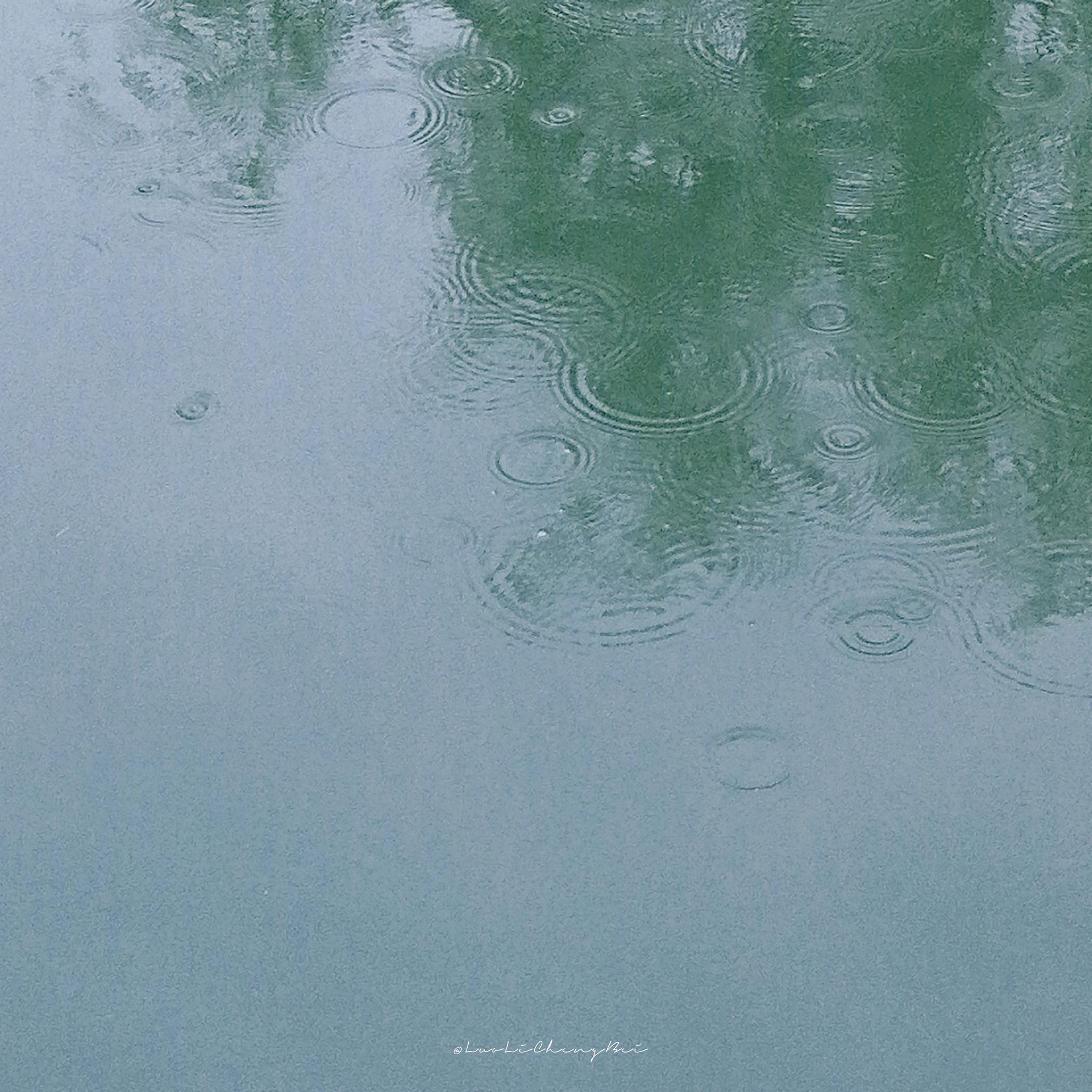 细雨绵绵 湖面泛起层层涟漪 荡漾在我心上 就像初见你时的怦然心动