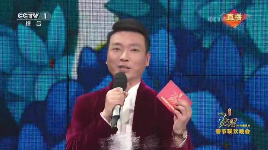 总台十佳电视主持人,康辉贺红梅王端端撒贝宁连续两届榜上有名|十佳|王端端|贺红梅_新浪新闻