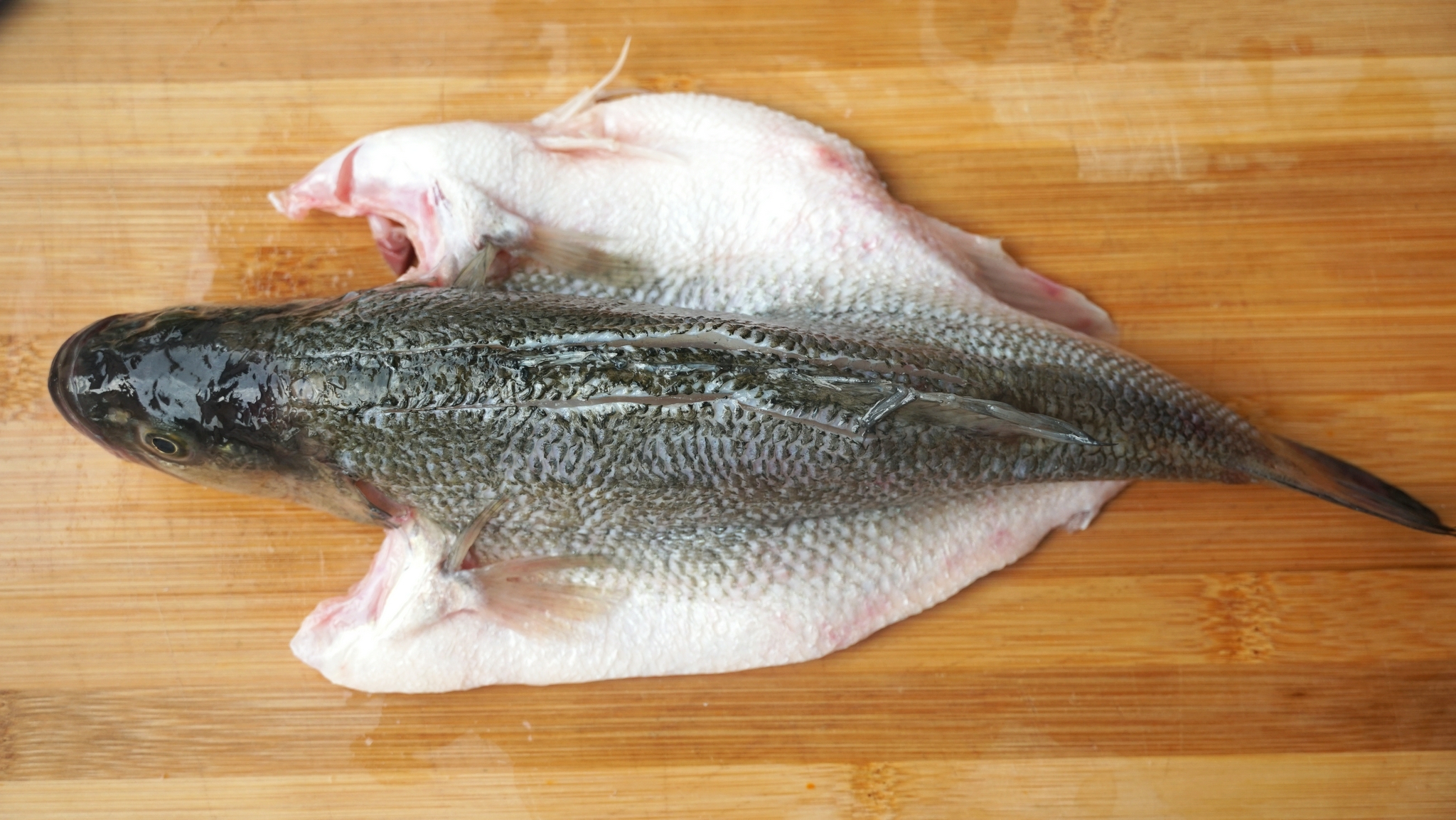 不管蒸什么鱼,这个步骤都不能省!鱼肉细嫩无腥味,赶快学学吧休闲区蓝鸢梦想 - Www.slyday.coM 不管蒸什么鱼,这个步骤都不能省!鱼肉细嫩无腥味,赶快学学吧休闲区蓝鸢梦想 - Www.slyday.coM