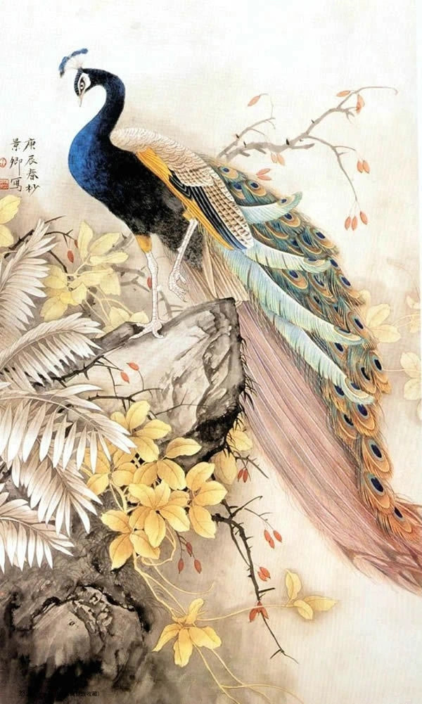 张玉明笔下的孔雀,色彩饱满,细腻,逼真